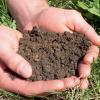 Знать о состоянии почвы - важно!