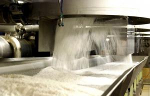 После модернизации Сергачского сахарного завода годовой объем производства сахара достигнет порядка 120 тысяч тонн