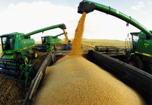 Собрано 82,3 млн тонн зерна, что на 31% больше уровня прошлого года