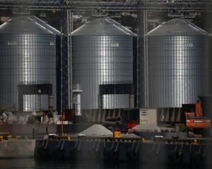 В мае Россия сможет экспортировать не более 2,6 млн тонн зерна