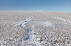 Минсельхоз РФ оценил ущерб от гибели посевов в Забайкалье