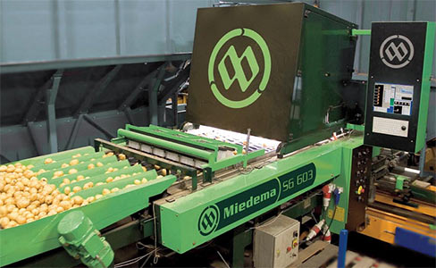 Установка электронная сортировочная Miedema Smart Graders 400 / 600