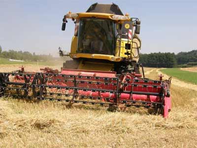 Жатка зерновая Geringhoff Harvest Star Vario HVV 600 / HVV 660