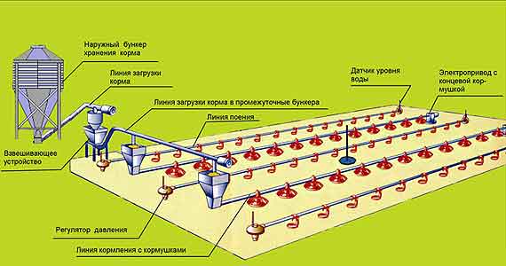Оборудование для напольного выращивания бройлеров ОПБ