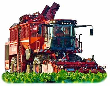 Комбайн свеклоуборочный Holmer Terra Dos T2 / T3