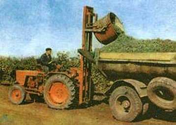 Погрузчик виноградниковый навесной АВН-0,5А
