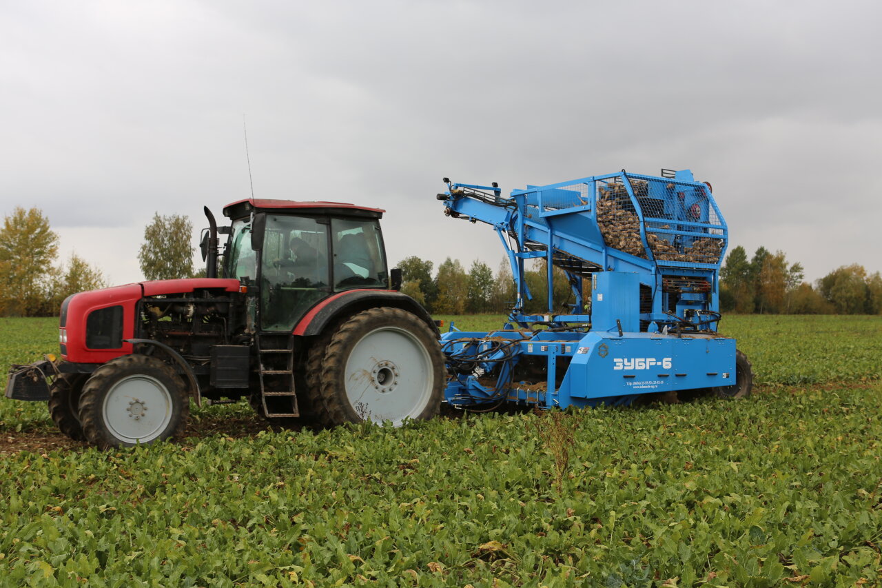 Свеклоуборочный Комбайн Техмаш Зубр КС-6