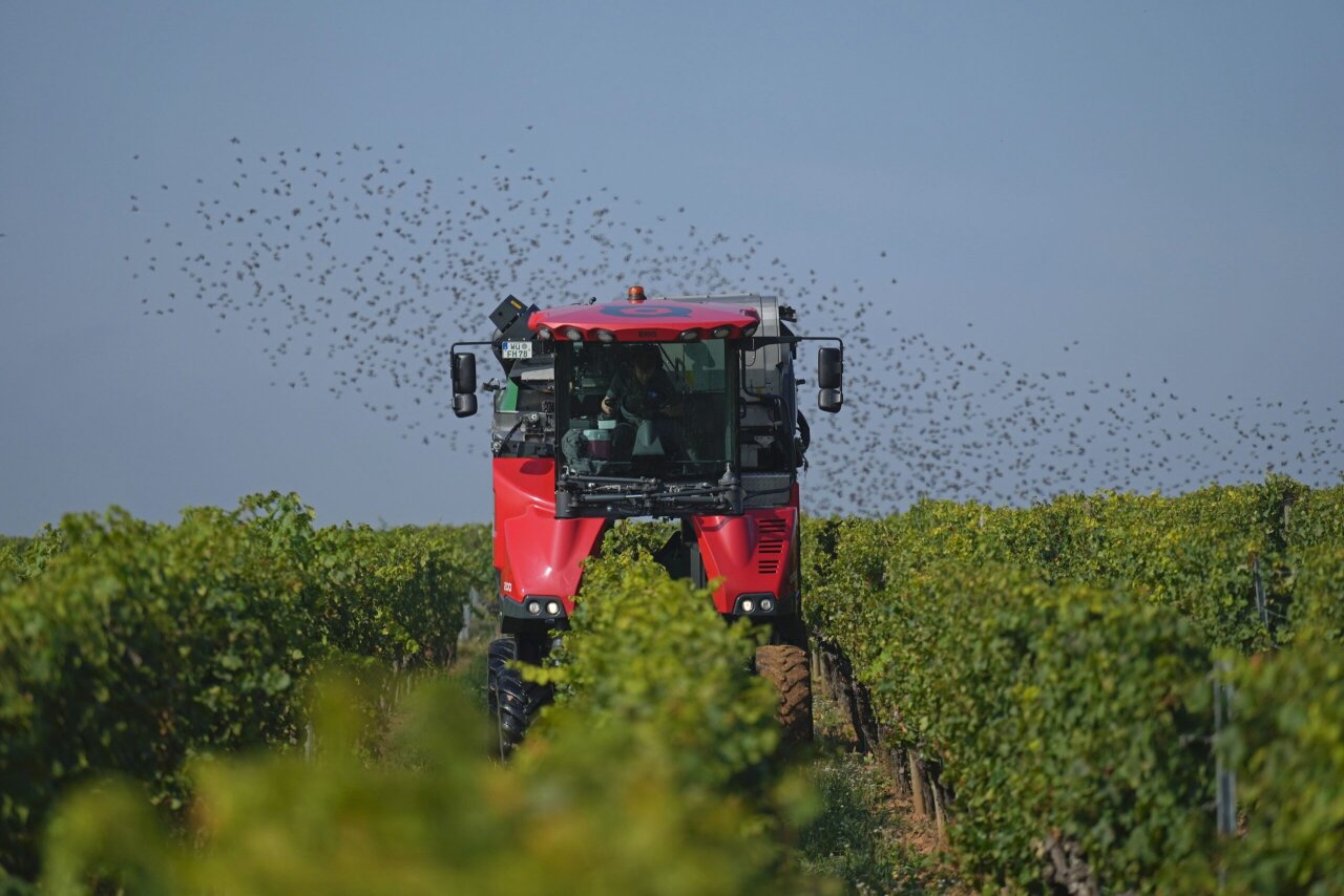 Виноградоуборочный комбайн ERO GRAPELINER 5175XV