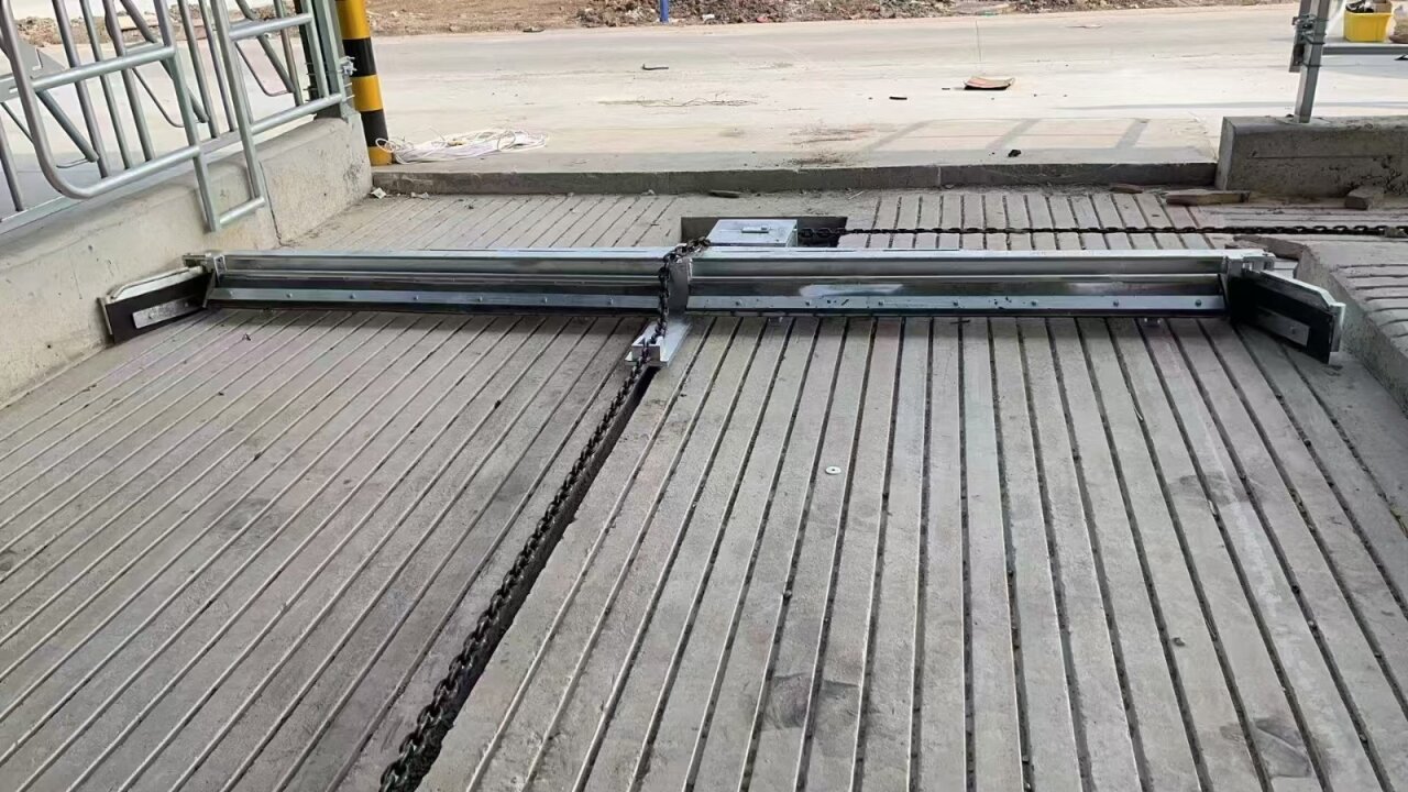 Скрепер цепной навозоуборочный SX comby