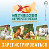 Животноводство и фермерство России – 2022