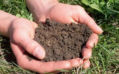 Знать о состоянии почвы - важно!