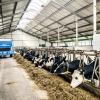 Технология производства и раздачи кормов для коров