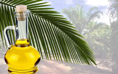 Путин предложил указывать на упаковке использование пальмового масла