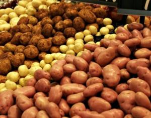 Семенной картофель из Нидерландов