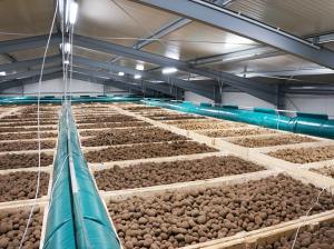 Новое картофелехранилище мощностью 16 400 тонн планируется ввести в эксплуатацию уже в августе