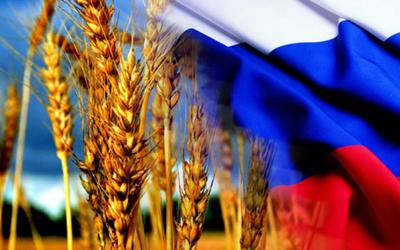 Оперативная информация об экспорте зерна и продуктов его переработки из Российской Федерации на 27 июня 2016 года