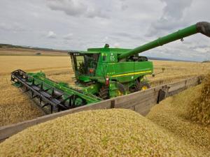 Собрано 6 млн тонн зерна по состоянию на 4 июля