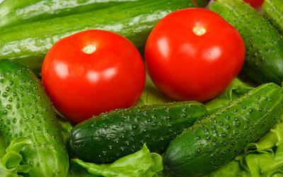 По данным Минсельхоза собрано более 363 тыс. тонн тепличных овощей