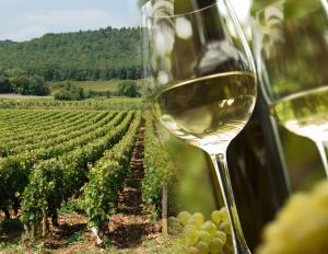 Минсельхоз предлагает увеличить пошлину на импорт виноматериалов