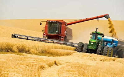 По состоянию на 15 июля собрано более 20 млн тонн зерна