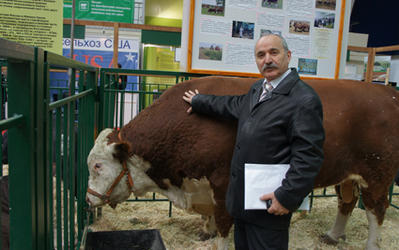 В Краснодарском крае обсудили вопросы воспроизводства молочного и мясного скота