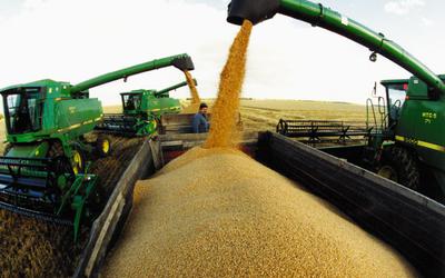 По состоянию на 14 сентября собрано 102,8 млн тонн зерна