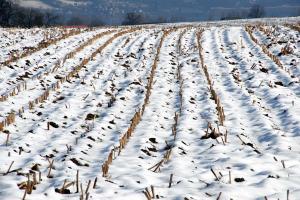 Из-за сильного снегопада приостановлены работы на полях Ингушетии