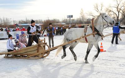 VIII Всероссийские зимние сельские спортивные игры пройдут в Новосибирской области
