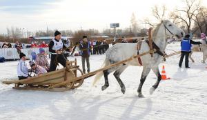 VIII Всероссийские зимние сельские спортивные игры пройдут в Новосибирской области