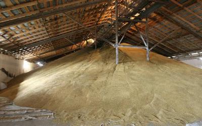 Контрольные проверки условий хранения зерна в Костромской области