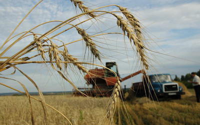 В Карачаево-Черкесии планируется создать 16 сельхозкооперативов в наступившем году