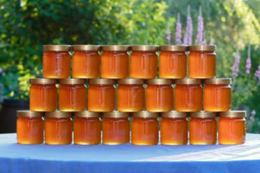 Полезный дагестанский мед