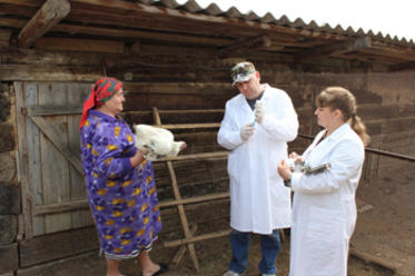В Ростовской области готовятся к вакцинации птиц