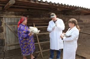В Ростовской области готовятся к вакцинации птиц
