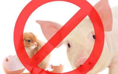 Белоруссия ввела ограничение на ввоз свинины из Украины