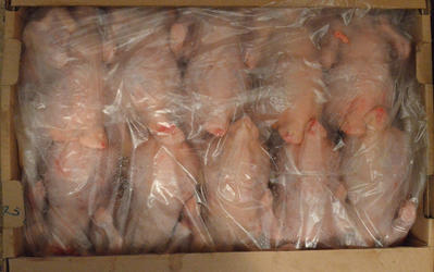 7 тонн мяса птицы задержаны при ввозе в Омскую область