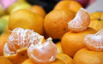 Россельхознадзор запретил ввоз зараженных турецких мандаринов
