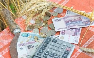 Сельхозтоваропроизводители Рязанской области получают субсидии на оказание несвязанной поддержки
