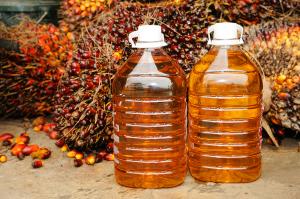 О сокращении ввоза пальмового масла в Россию