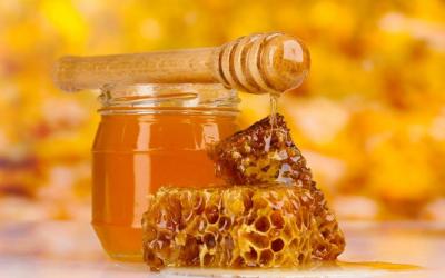 Торговая марка «башкирский мед» получит новый импульс для развития
