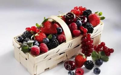Нижегородская область надеется на свой кусок «ягодного пирога»