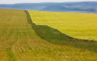 Крым планирует утроить площадь орошаемых земель к 2020 году