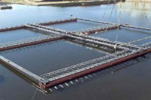 Ярославской области выделен участок под строительство модульной фермы по производству лососевых рыб