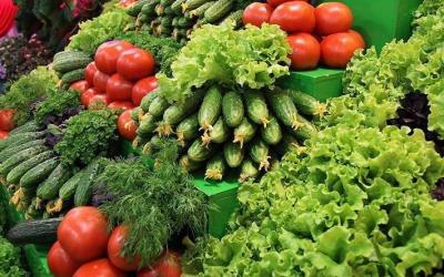 Сбор тепличных овощей вырос на 12,7%