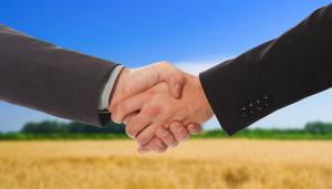 Ульяновская область планирует сотрудничать с Данией в сфере сельского хозяйства