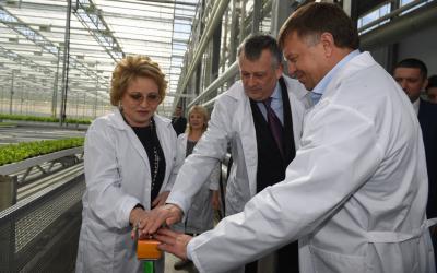 Тепличный комплекс по производству зелени открылся в Ленинградской области