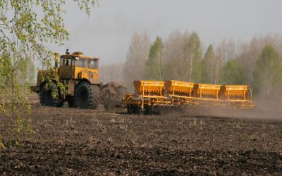В Новосибирской области аграрии делают акцент на кормовые культуры