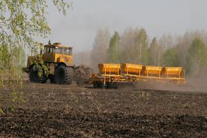 В Новосибирской области аграрии делают акцент на кормовые культуры