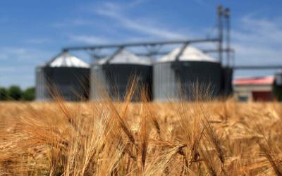 На 2 мая экспорт зерновых превысил 44 млн тонн