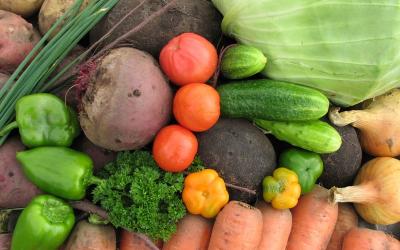 На 8 мая сбор тепличных овощей вырос на 29,9%